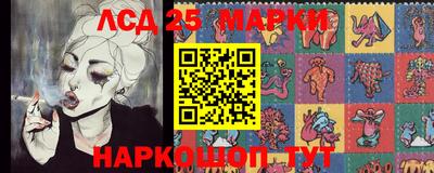 гидра Моздок