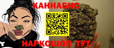 гидра Моздок