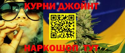 гидра Моздок