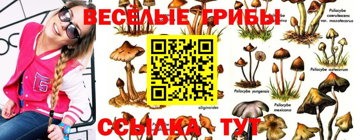 Галлюциногенные грибы Psilocybine cubensis  Вход с VPN  Уварово 